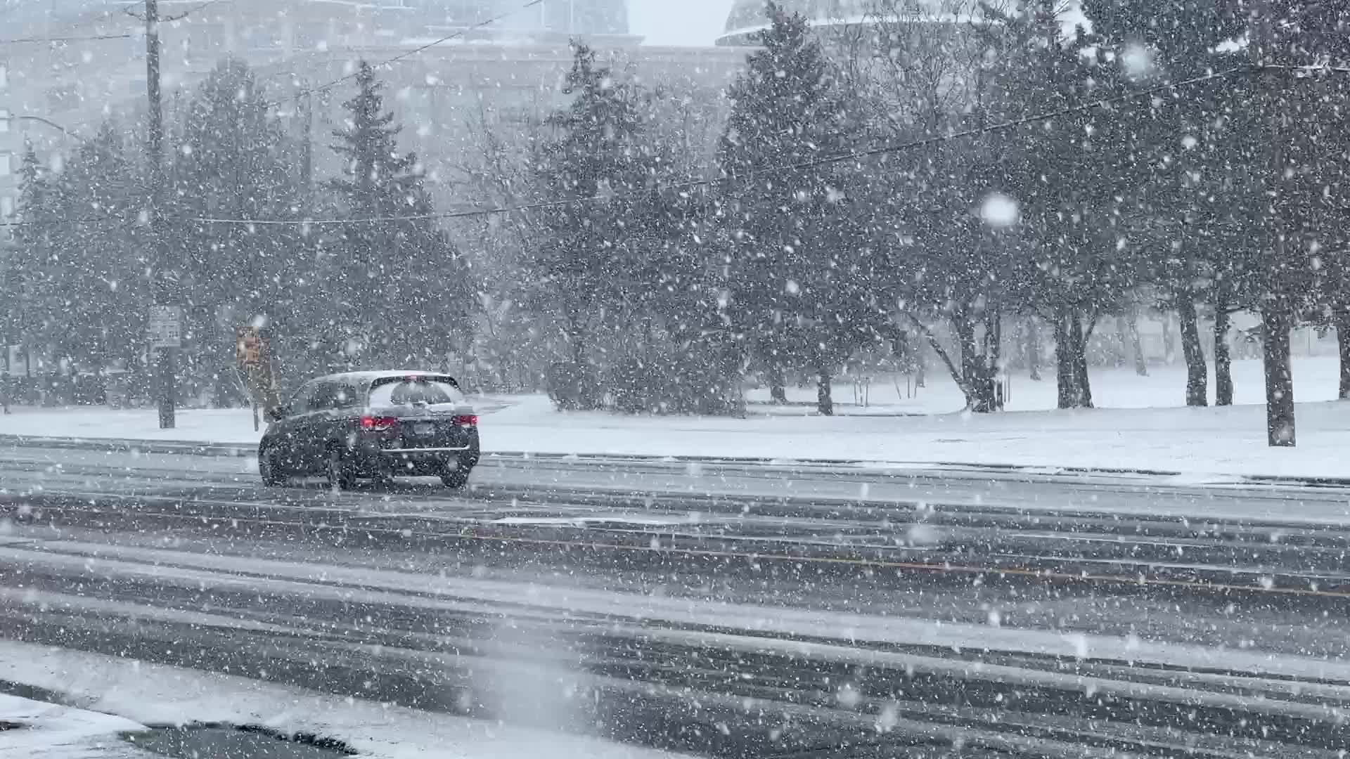Snowstorm in Toronto, Canada