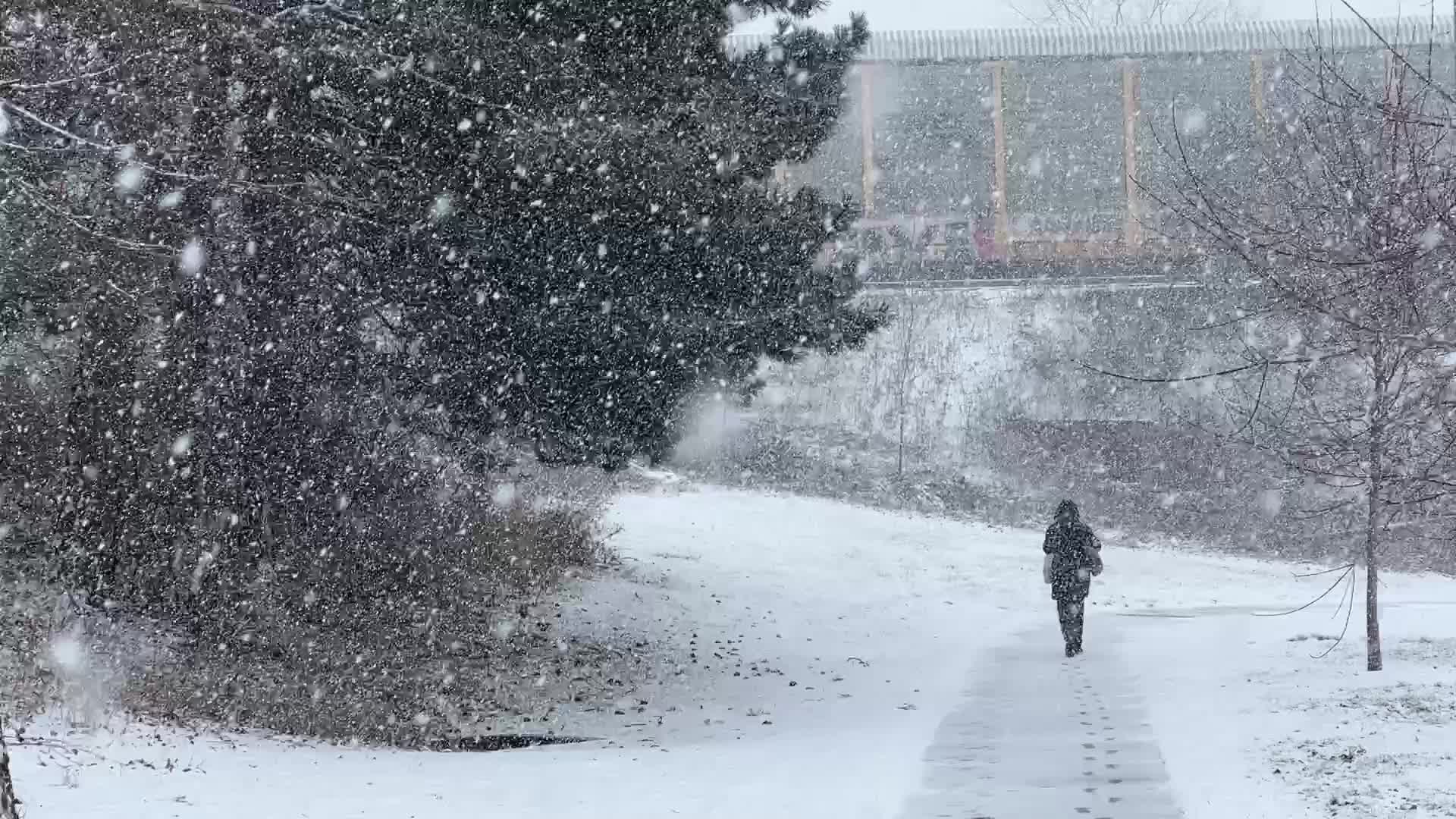 Snowstorm in Toronto, Canada