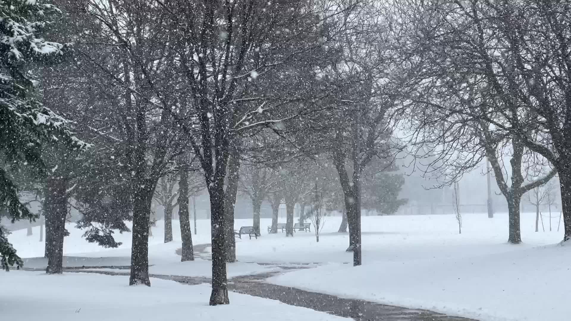 Snowstorm in Toronto, Canada