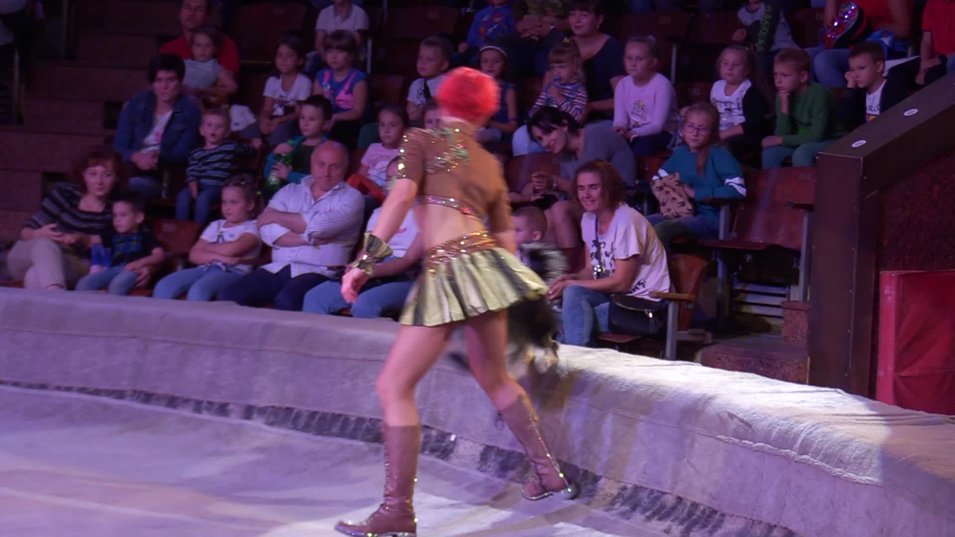 Ukrainian National Circus presents new show in Kiev