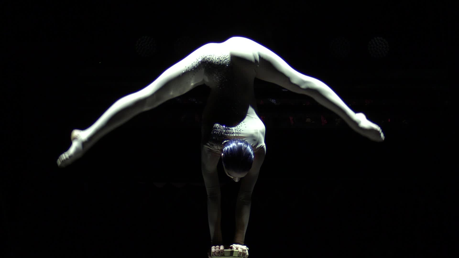 Ukrainian National Circus presents new show in Kiev