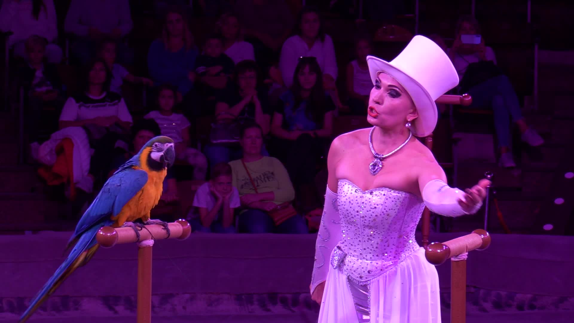 Ukrainian National Circus presents new show in Kiev
