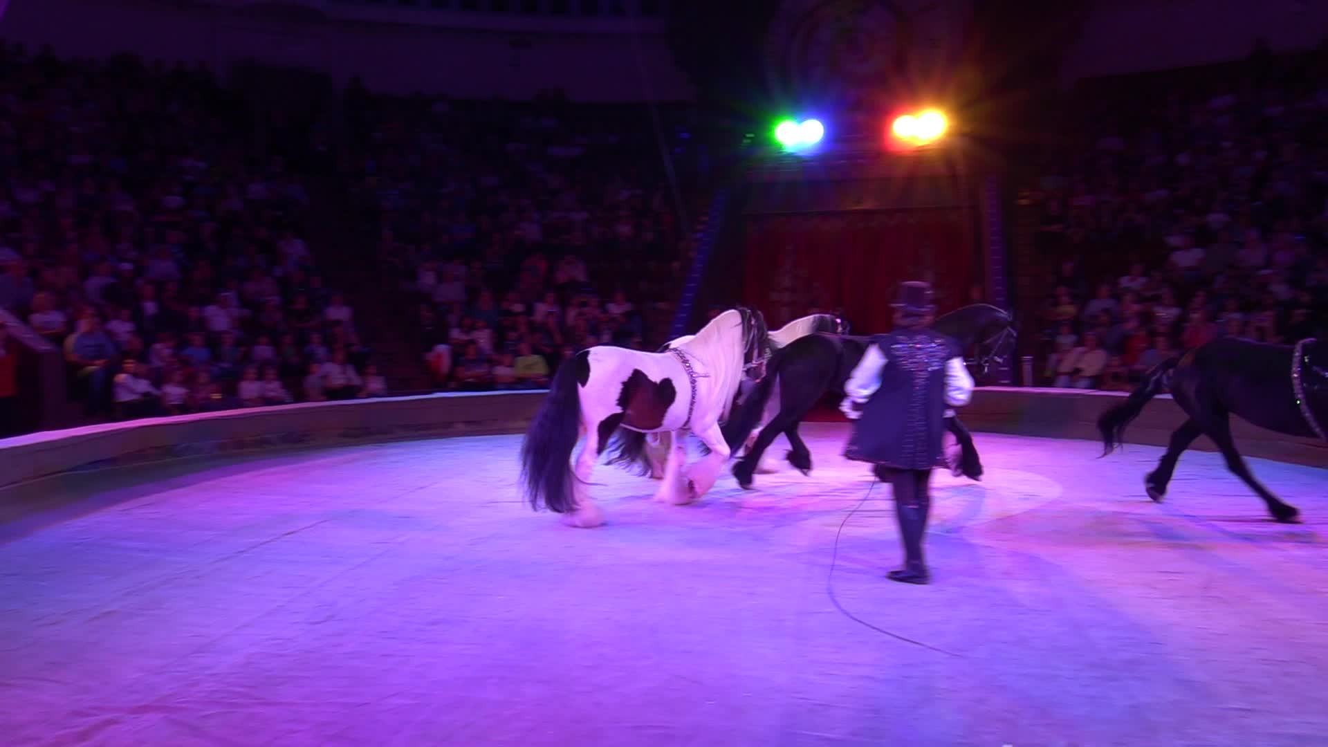 Ukrainian National Circus presents new show in Kiev