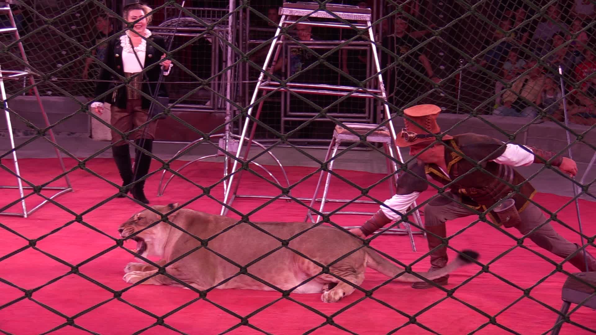Ukrainian National Circus presents new show in Kiev