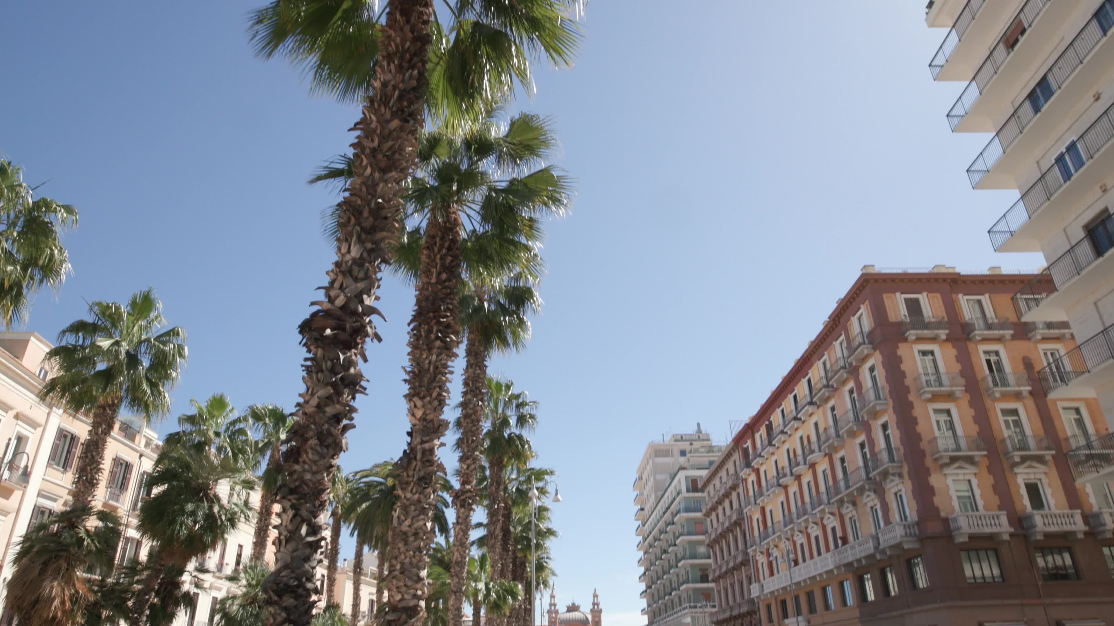 Daily Life In Bari, Italy