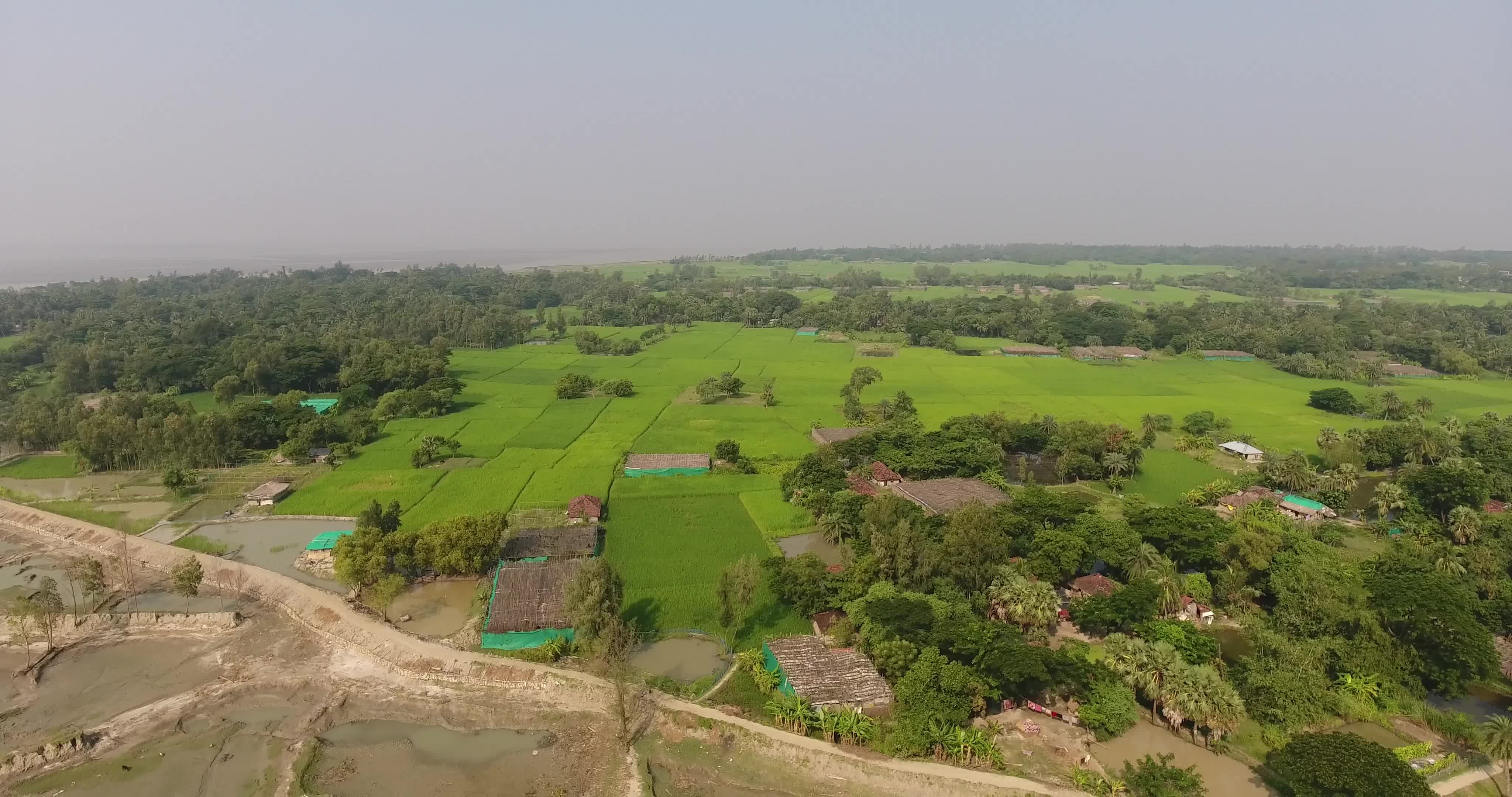 Environmental issue: The Ghoramara island