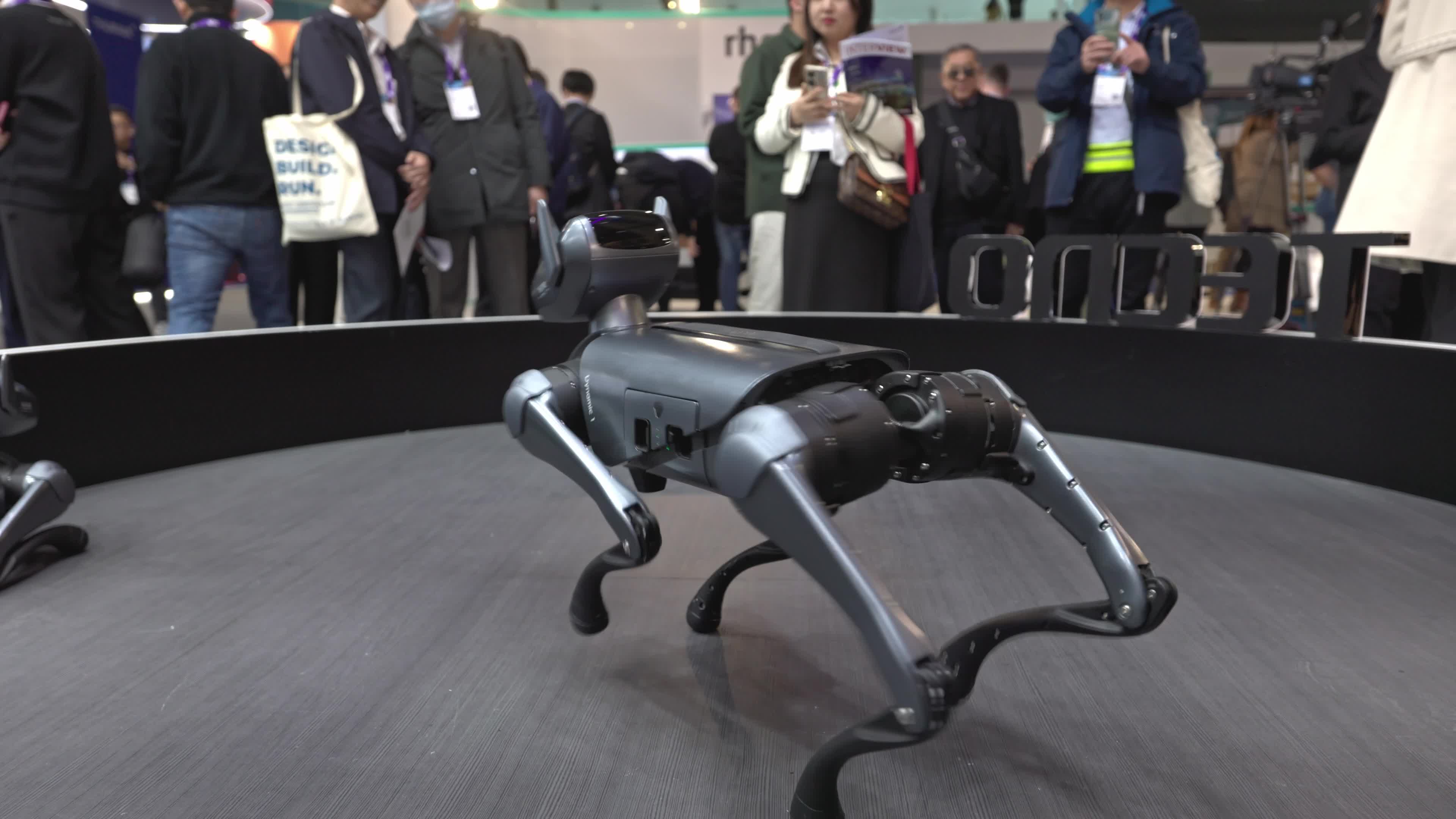 Tecno Dynamic 1 dog robot