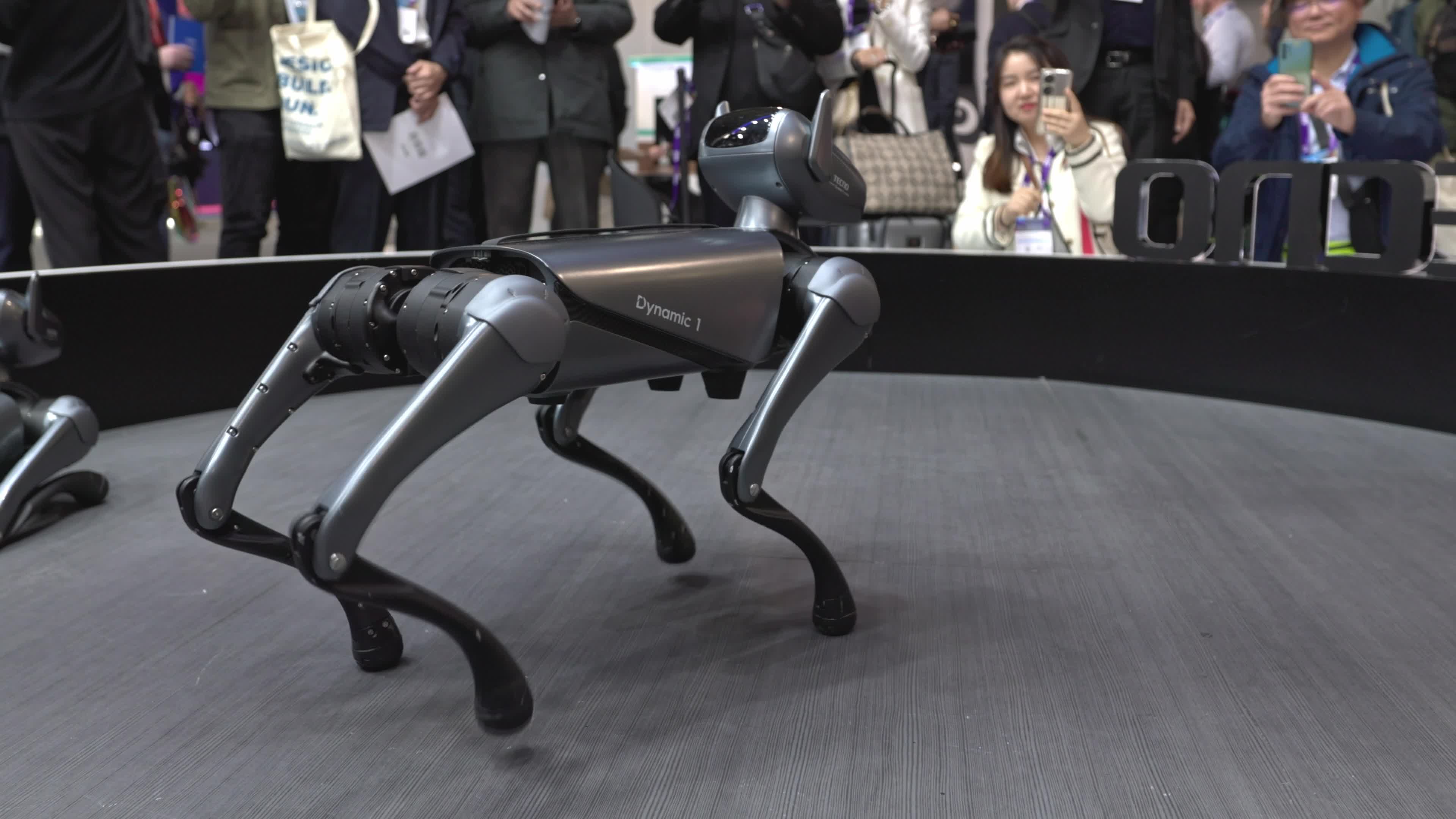 Tecno Dynamic 1 dog robot