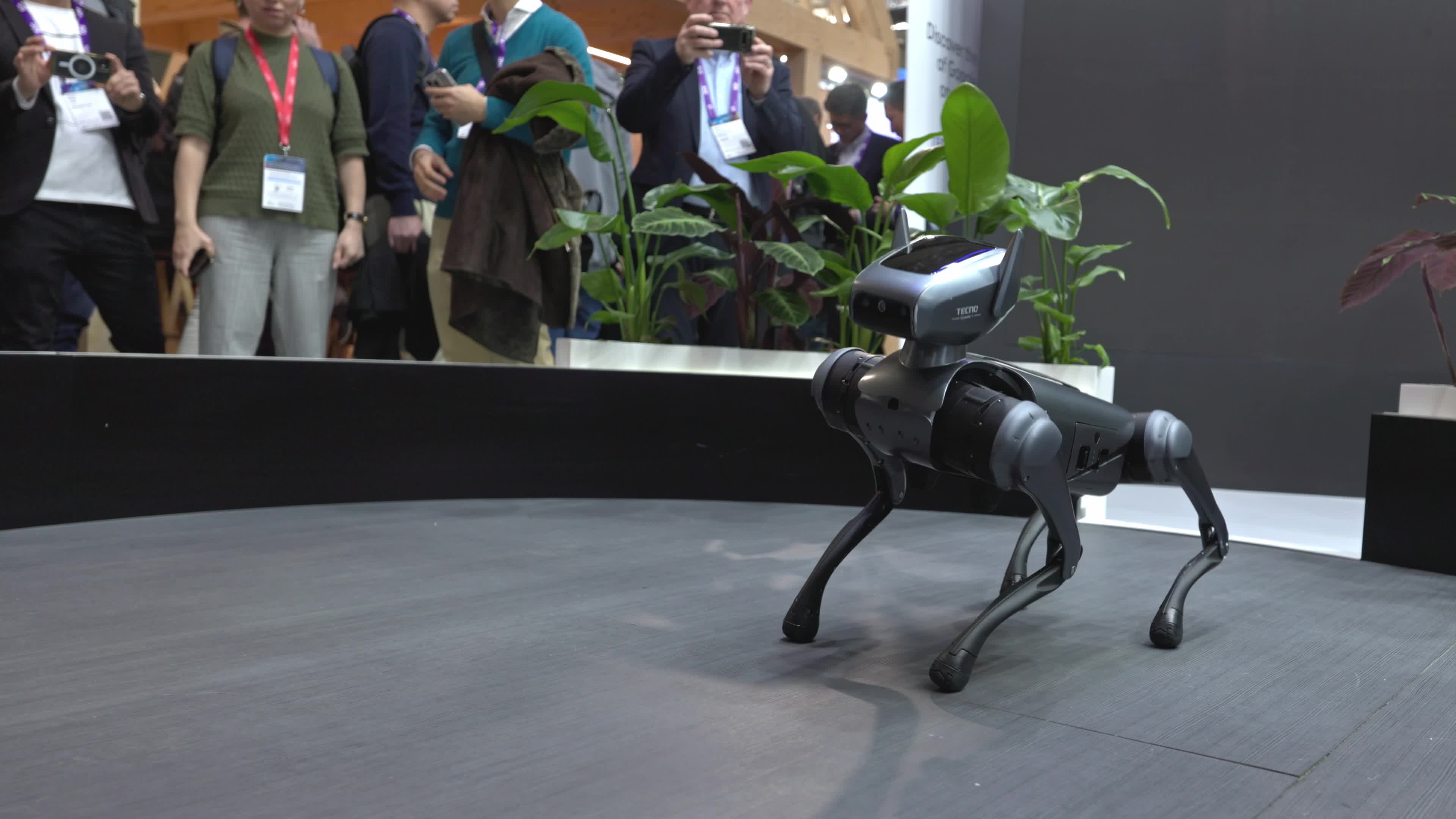 Tecno Dynamic 1 dog robot