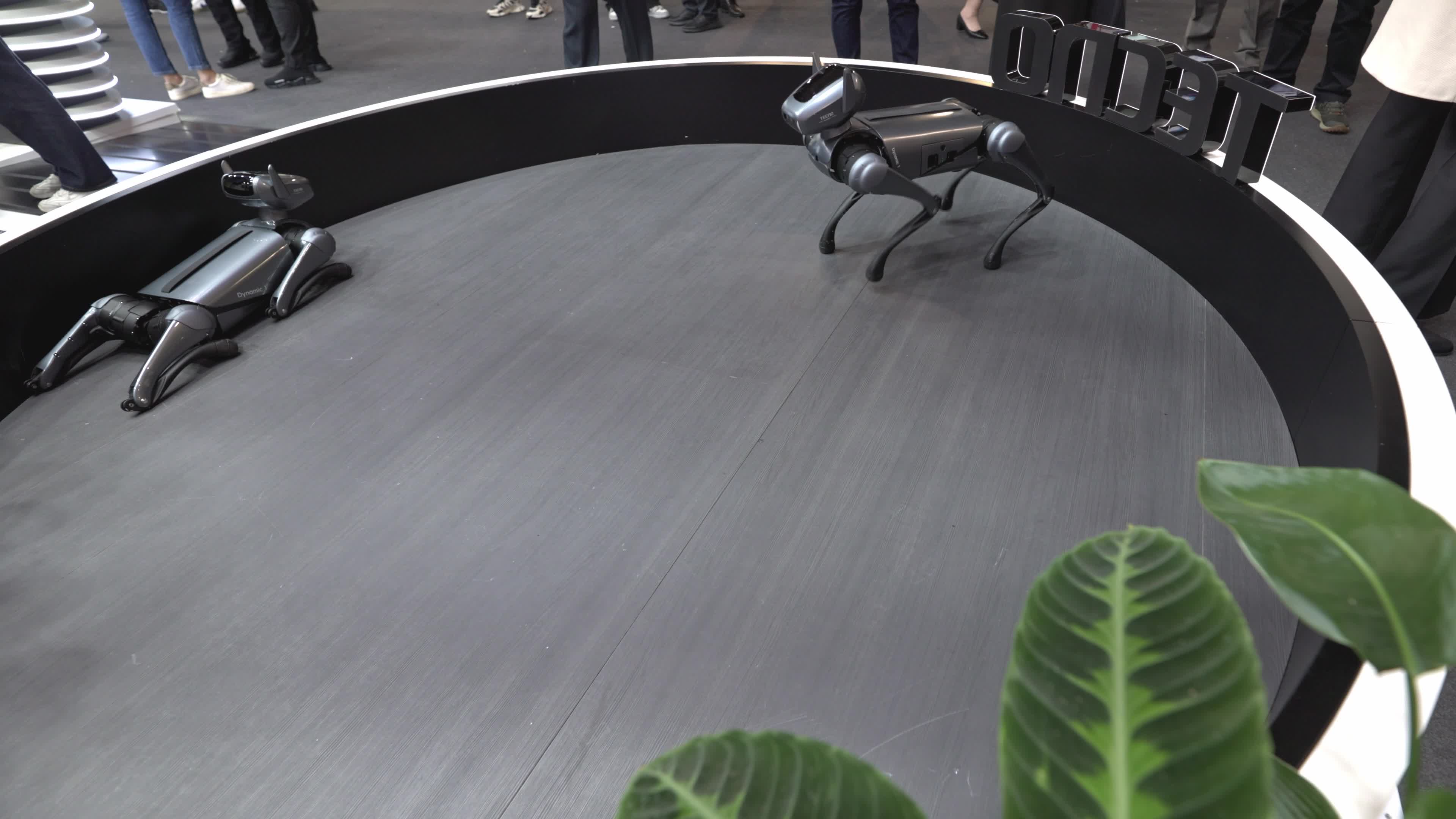 Tecno Dynamic 1 dog robot