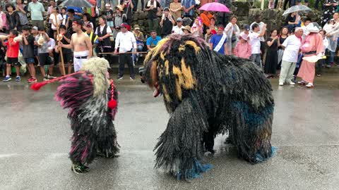 Tug-of-war festivals in Okinawa, Japan