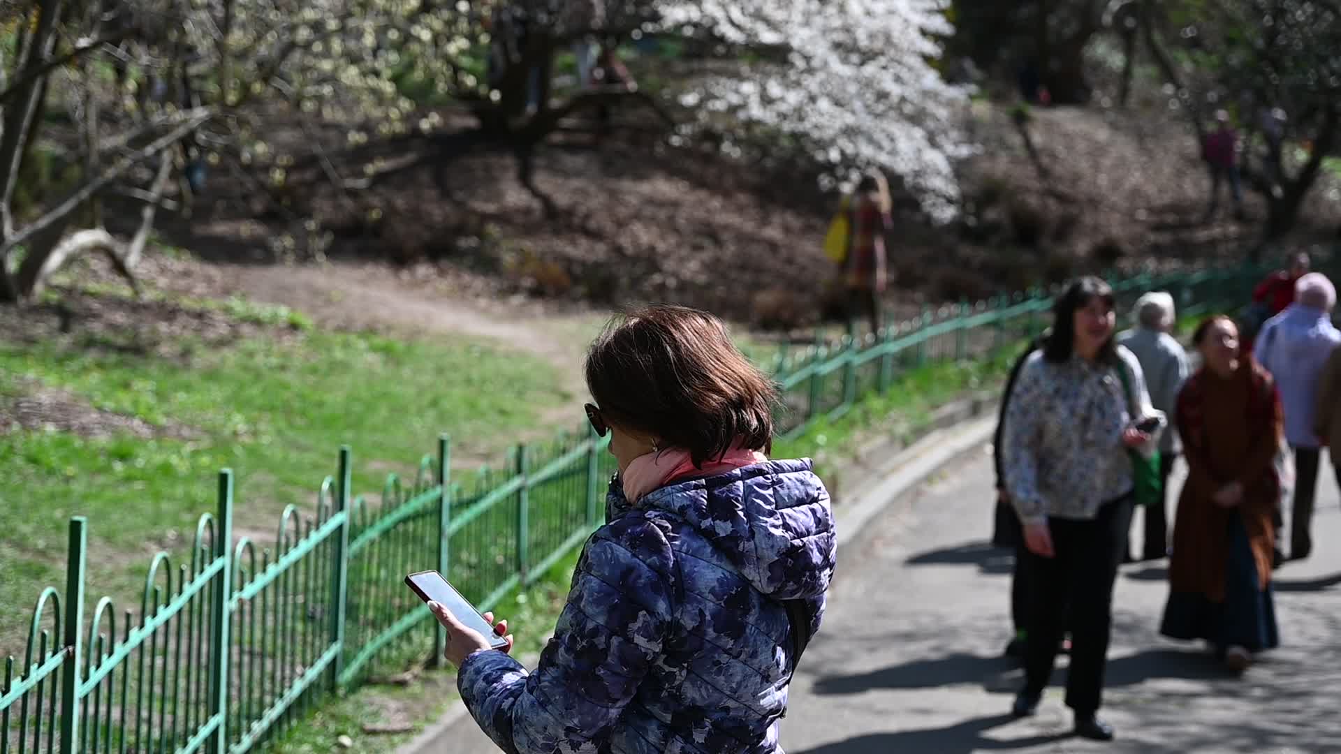 The first Magnolia trees start to blossom in Kyiv