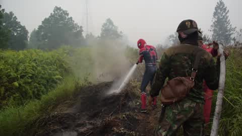 Indonesia Forest Fire