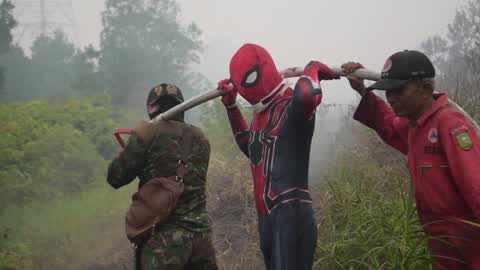 Indonesia Forest Fire