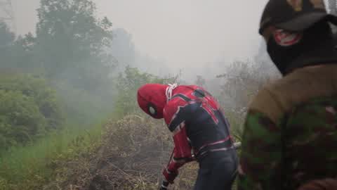 Indonesia Forest Fire