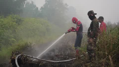 Indonesia Forest Fire