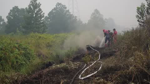 Indonesia Forest Fire