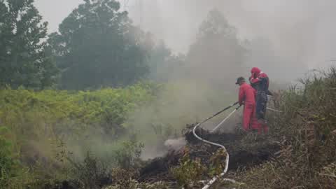 Indonesia Forest Fire