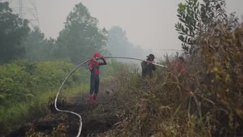 Indonesia Forest Fire