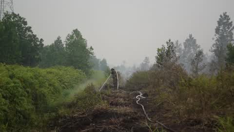 Indonesia Forest Fire