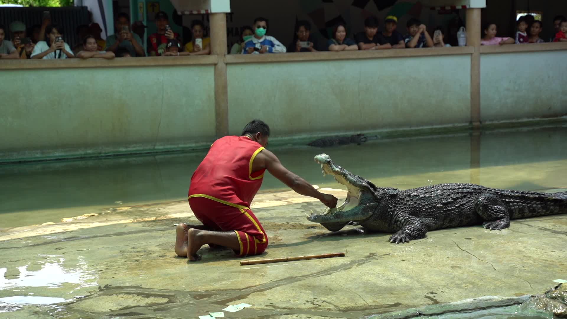 Samutprakarn Crocodile Farm and Zoo Reopens After.