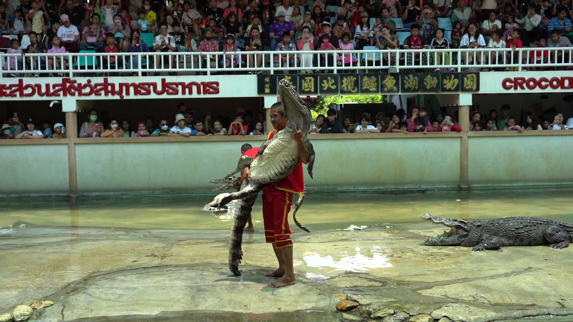 Samutprakarn Crocodile Farm and Zoo Reopens After.