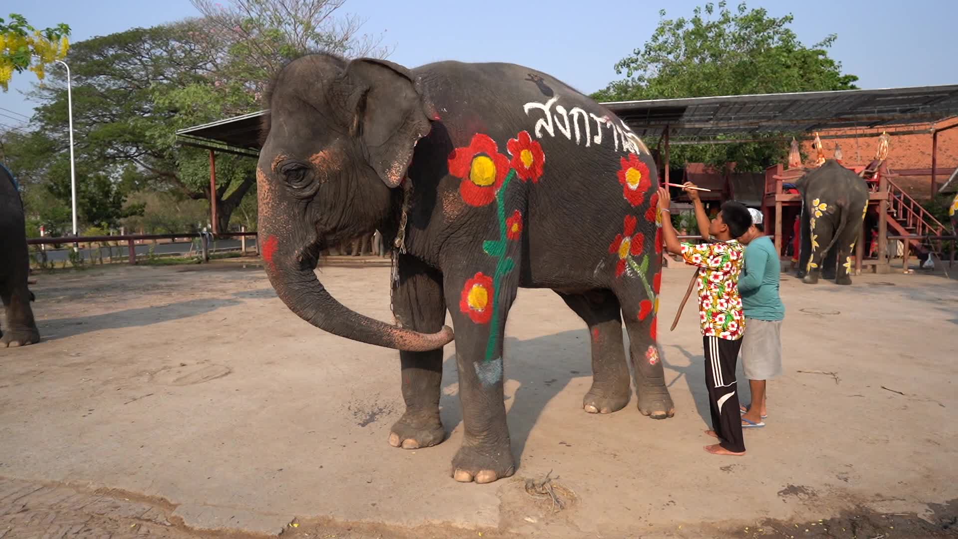 Elephants Celebrate the Songkran Festival in Ayutthaya.