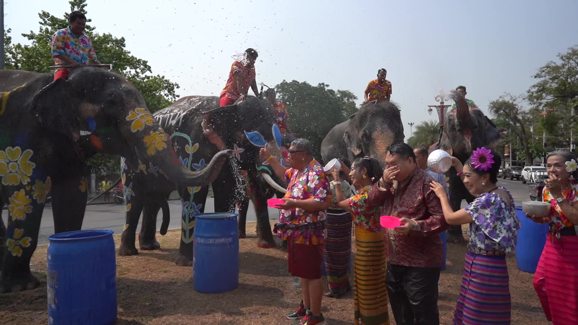 Elephants Celebrate the Songkran Festival in Ayutthaya.