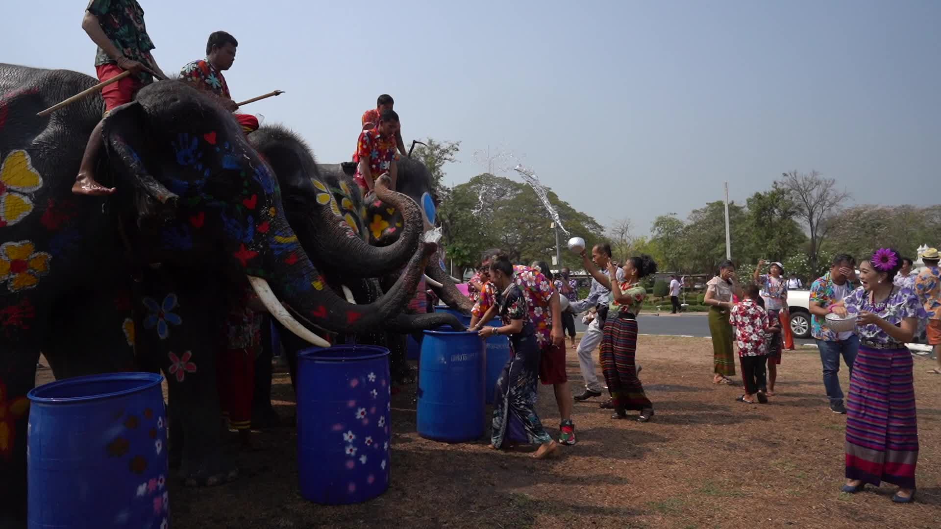 Elephants Celebrate the Songkran Festival in Ayutthaya.