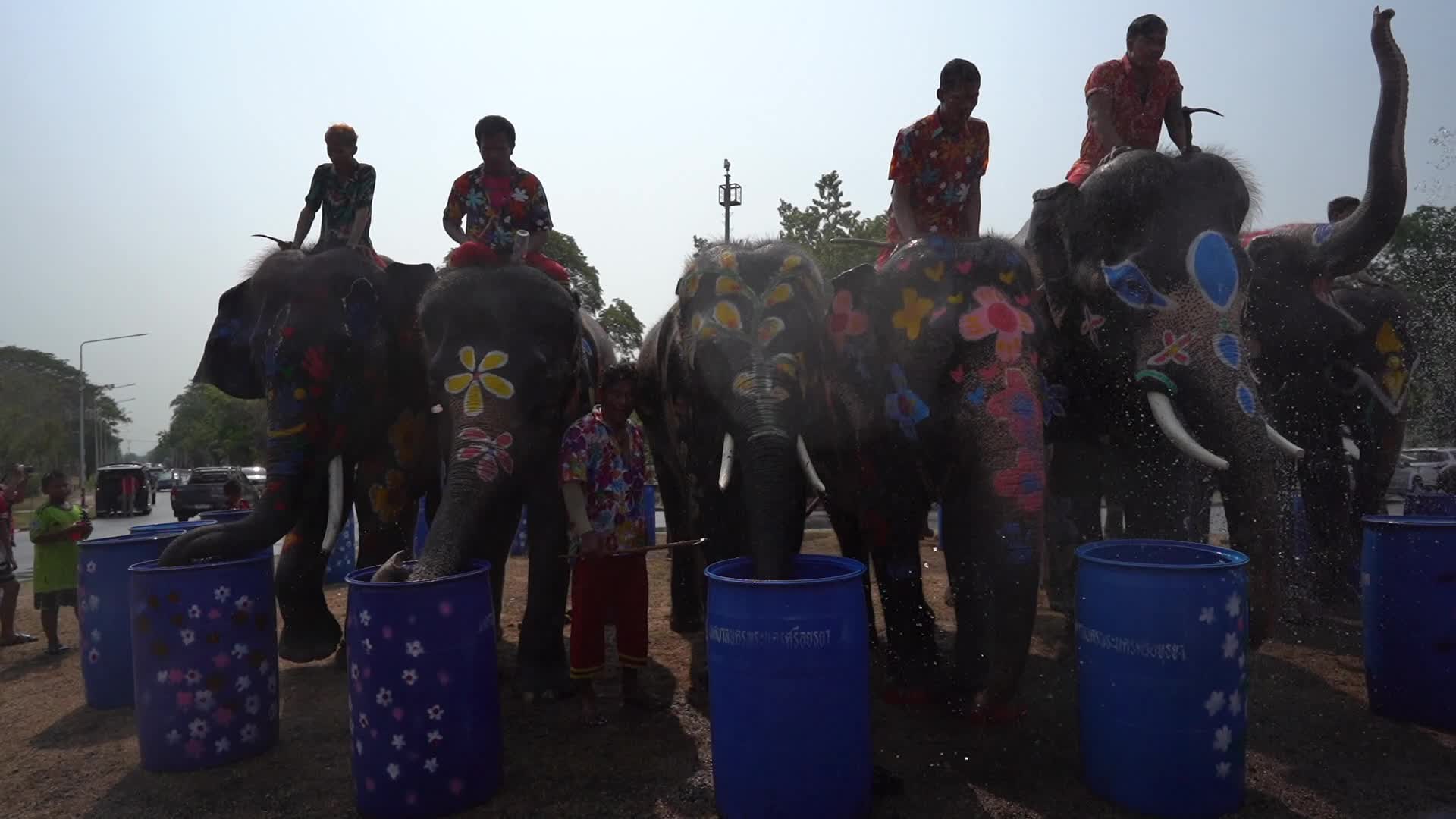 Elephants Celebrate the Songkran Festival in Ayutthaya.