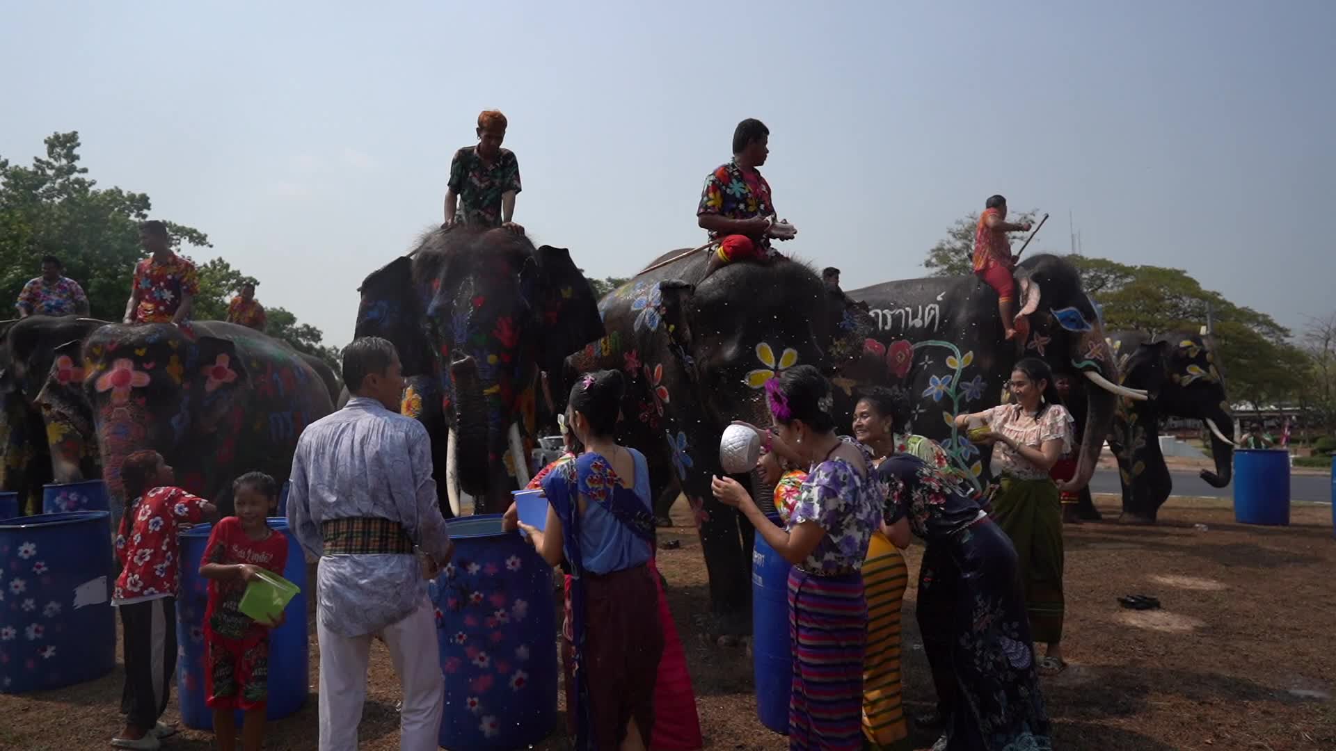 Elephants Celebrate the Songkran Festival in Ayutthaya.