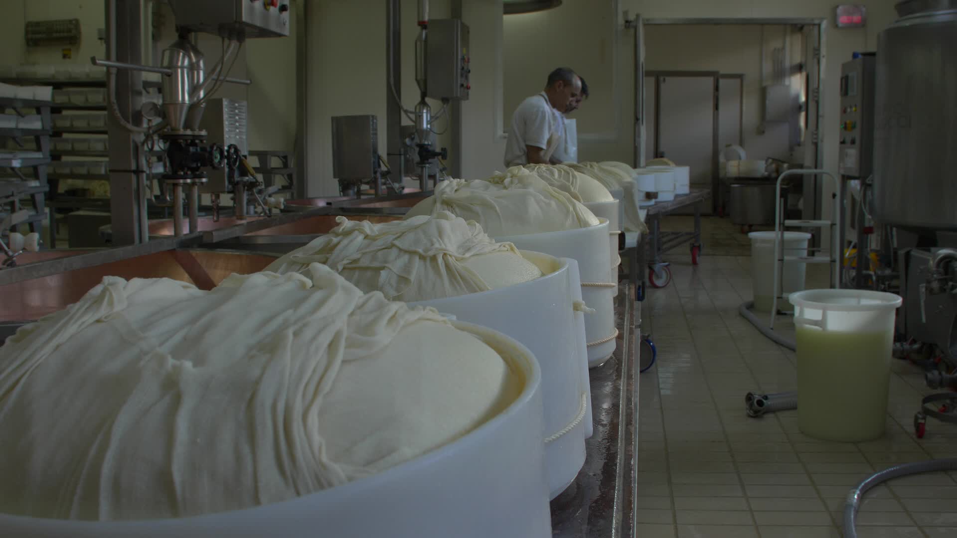 The best Parmesan production