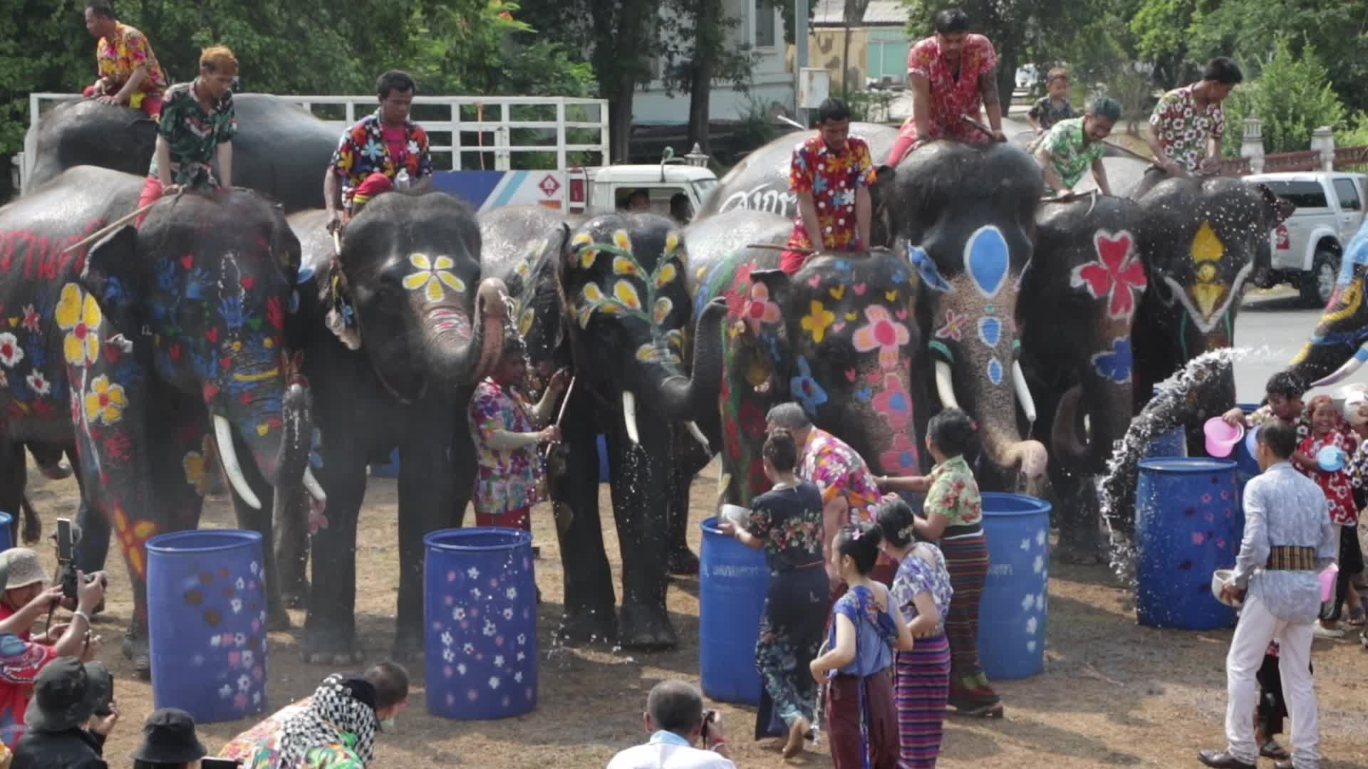 Tourists enjoy while play water battle with elephants