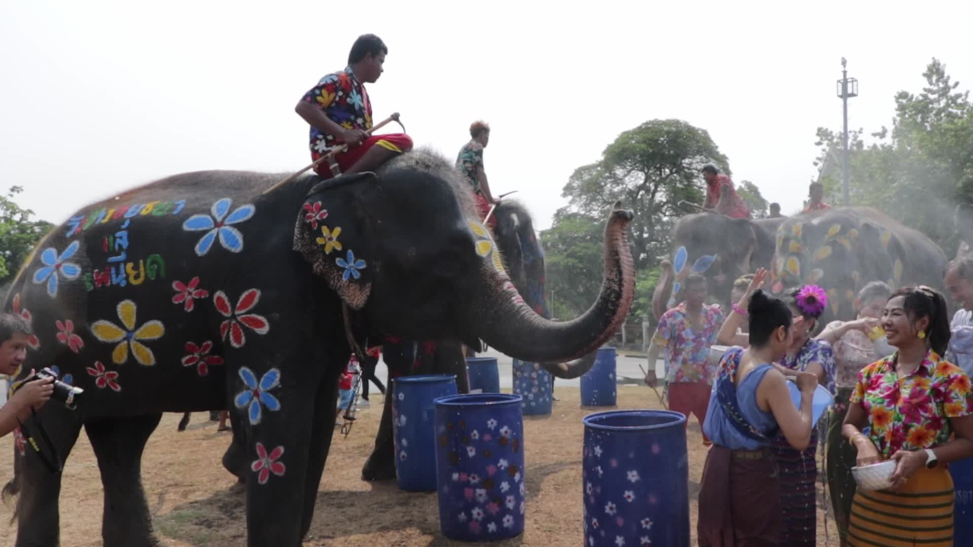 Tourists enjoy while play water battle with elephants