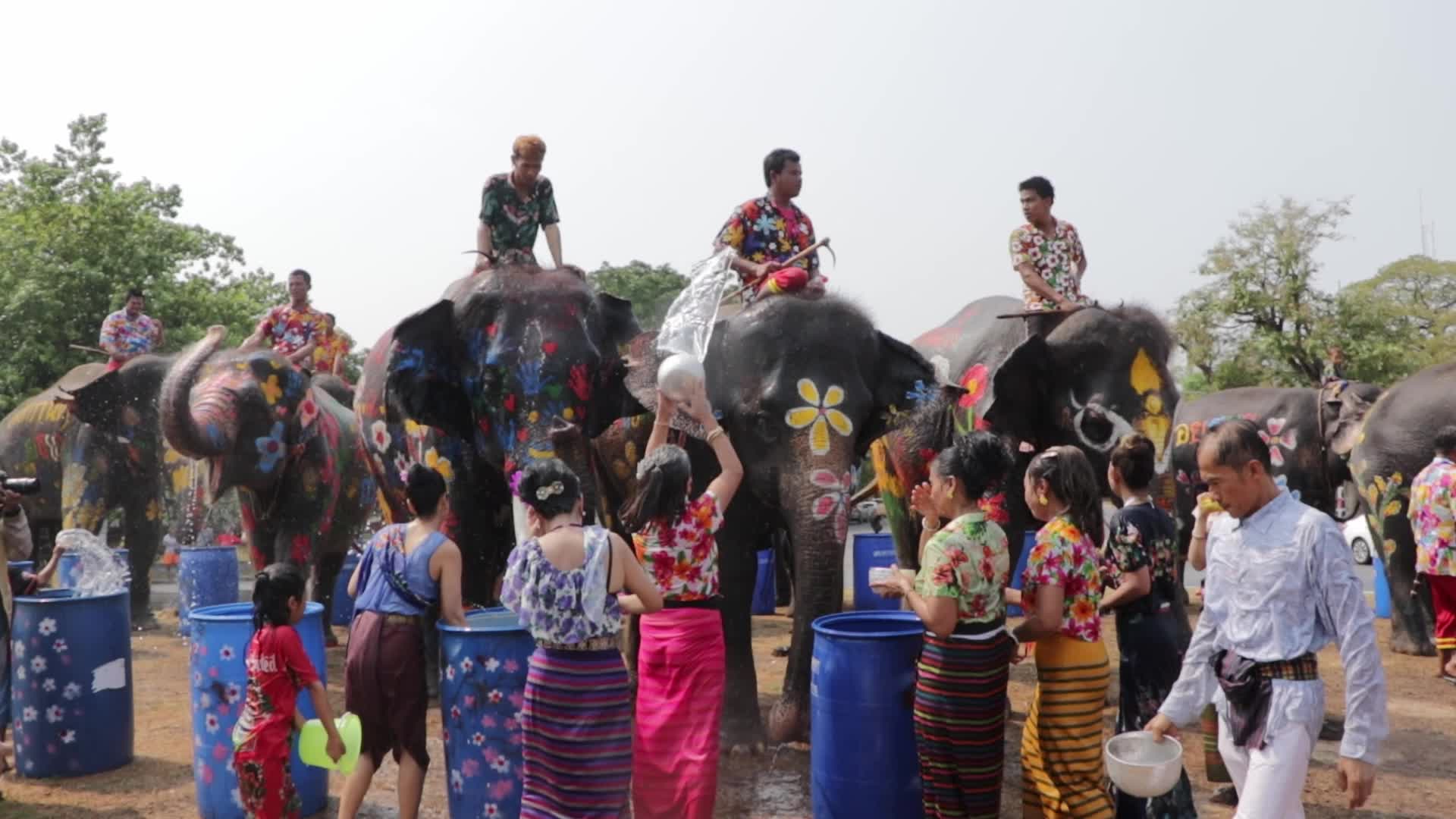 Tourists enjoy while play water battle with elephants