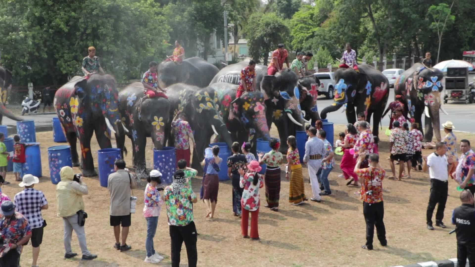 Tourists enjoy while play water battle with elephants