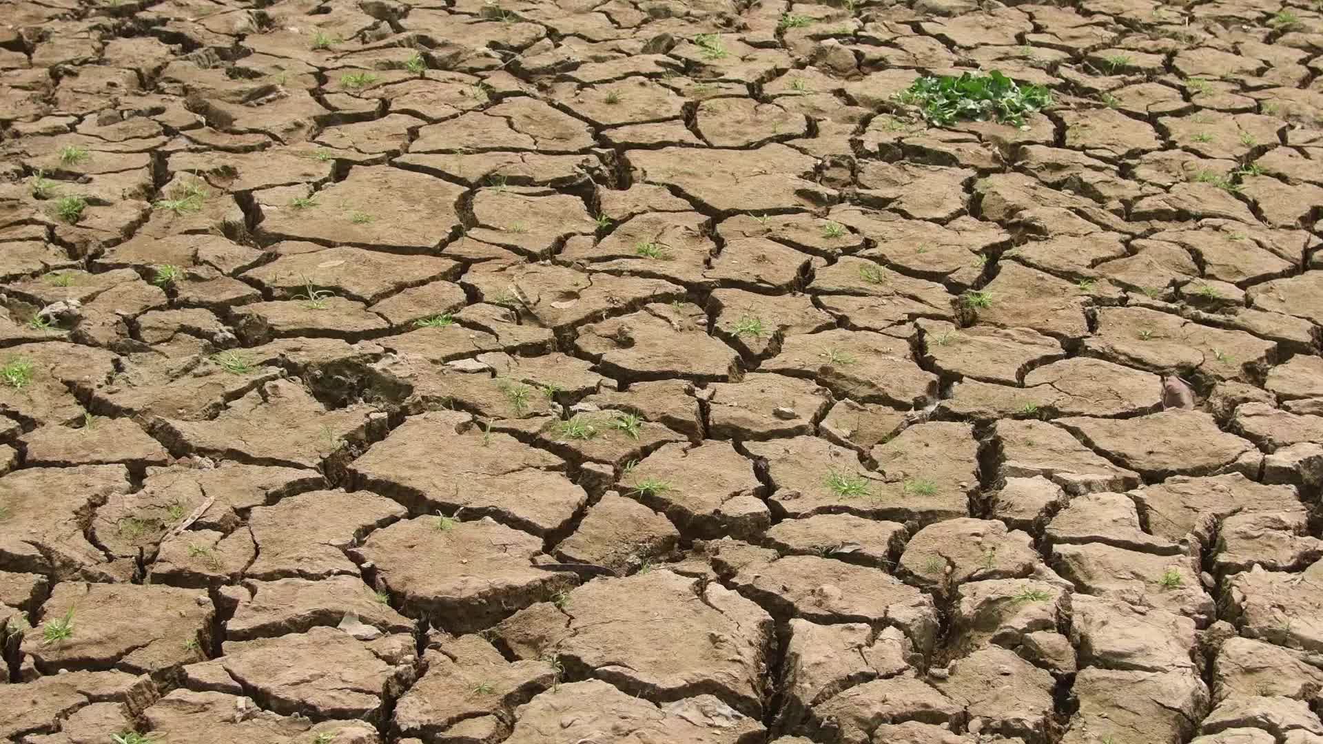 India Weather
