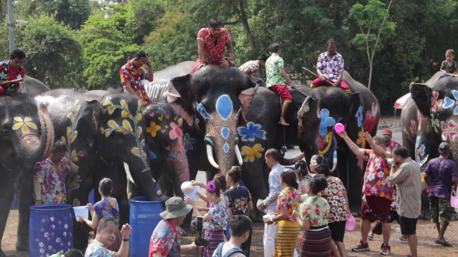 Tourists enjoy while play water battle with elephants