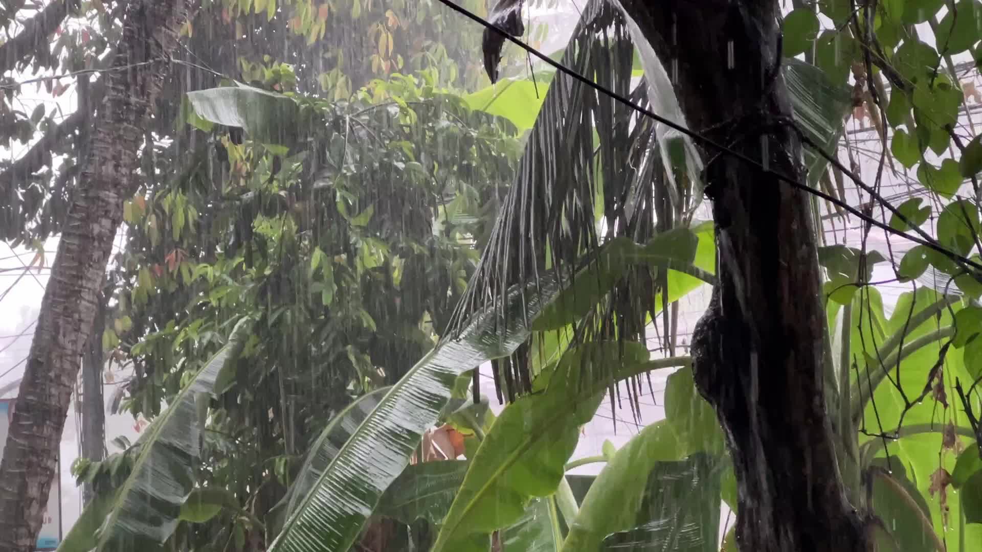 Thunderstorm in Thiruvananthapuram