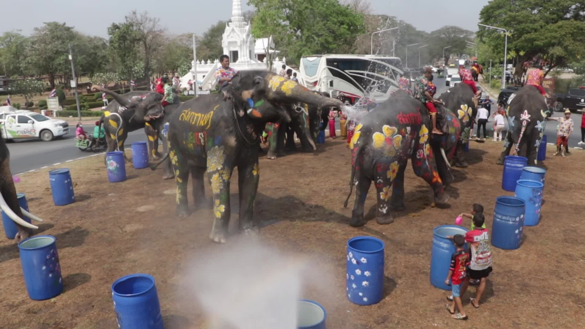 Tourists enjoy while play water battle with elephants