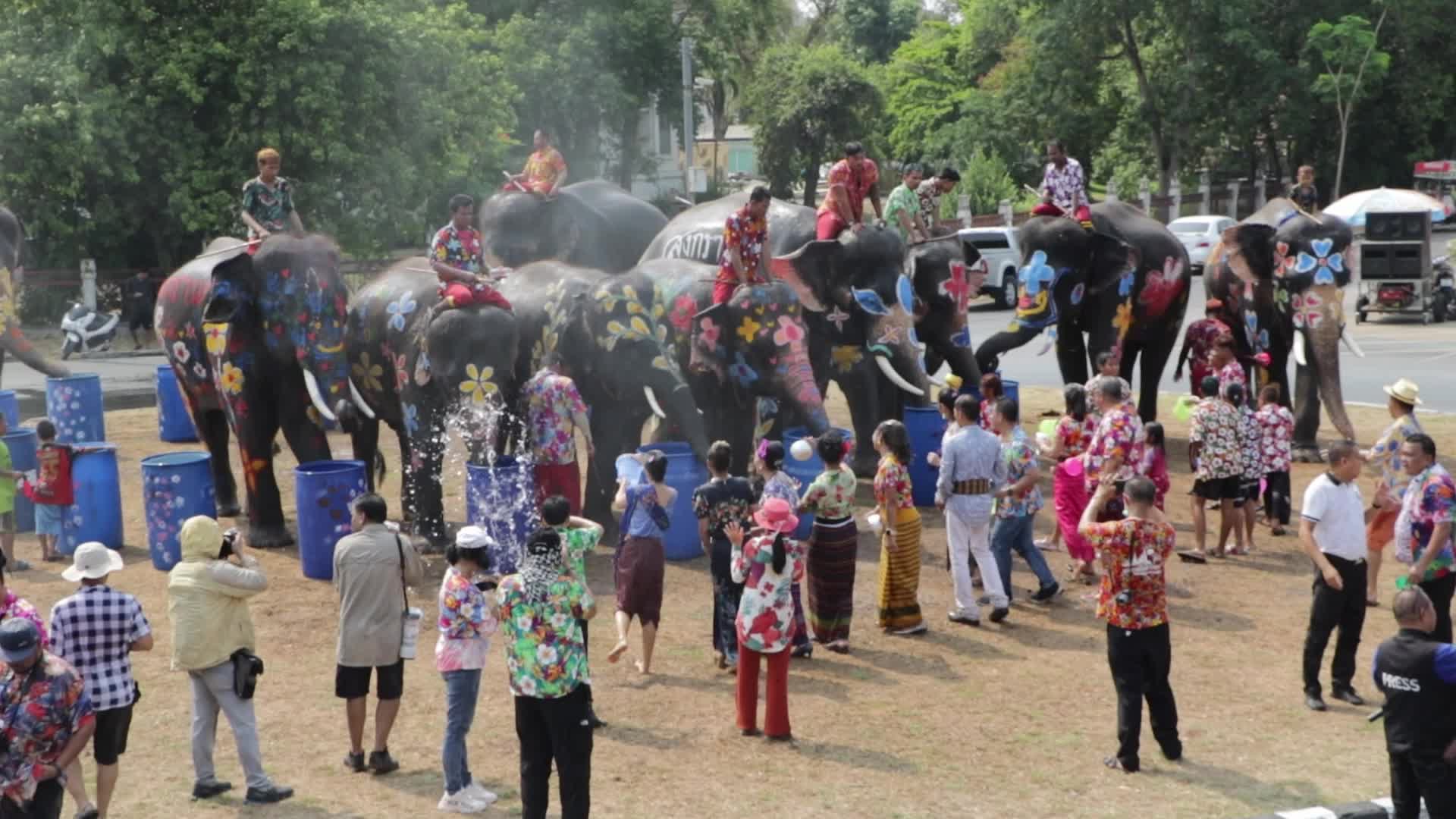 Tourists enjoy while play water battle with elephants