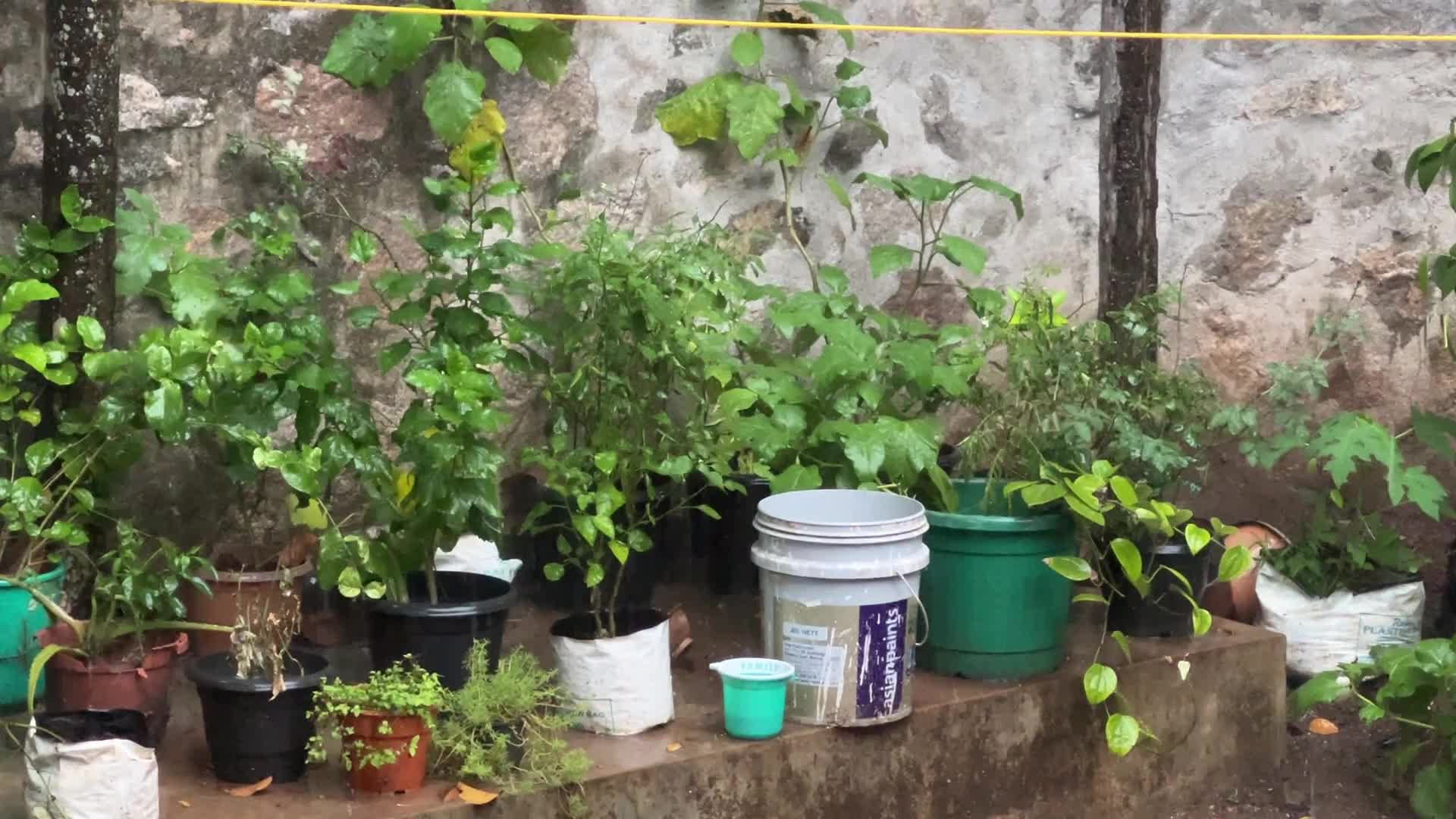 Thunderstorm in Thiruvananthapuram