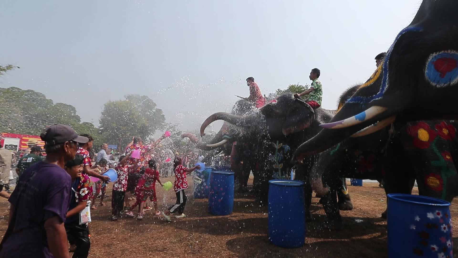 Elephants play at Thai Songkran Water Festival