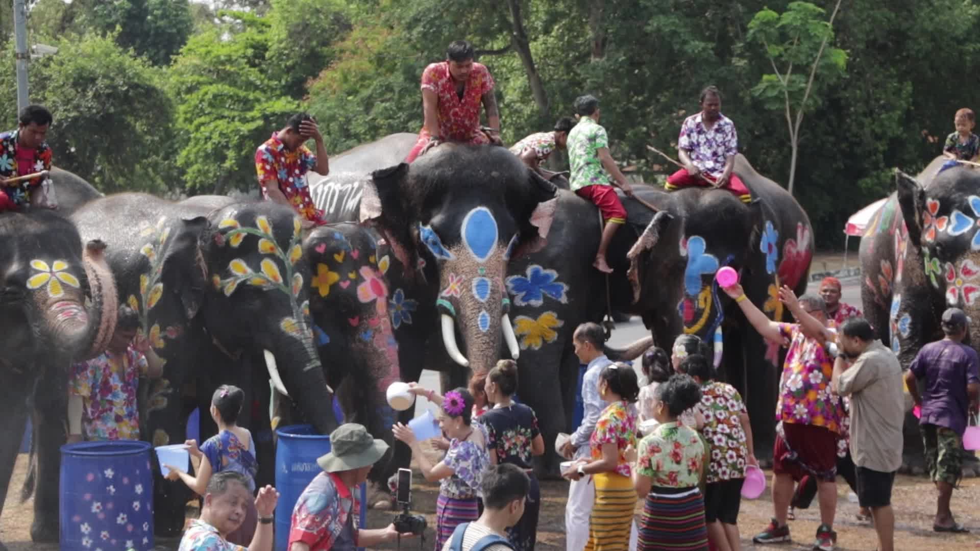 Tourists enjoy while play water battle with elephants