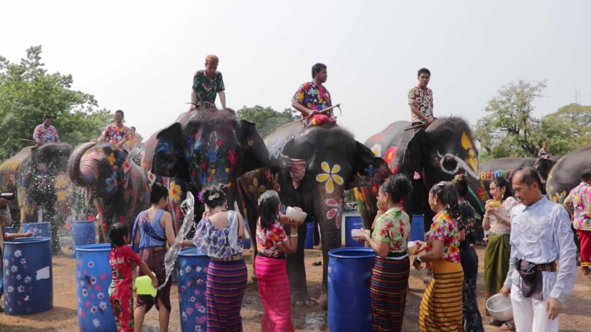 Tourists enjoy while play water battle with elephants