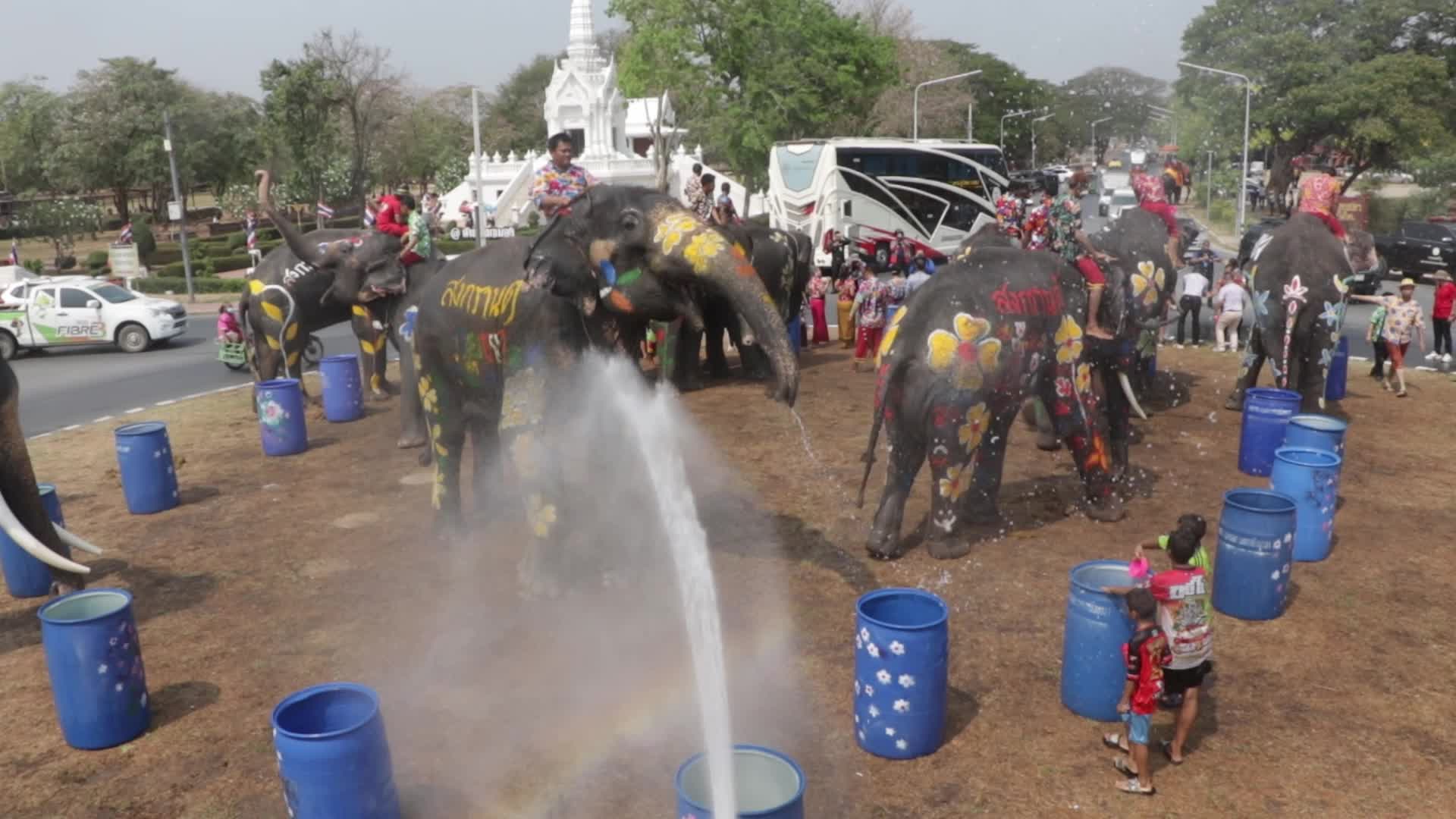 Tourists enjoy while play water battle with elephants
