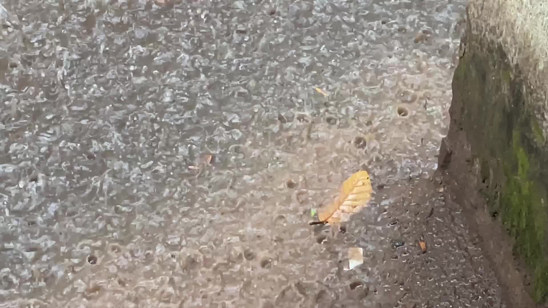 Thunderstorm in Thiruvananthapuram