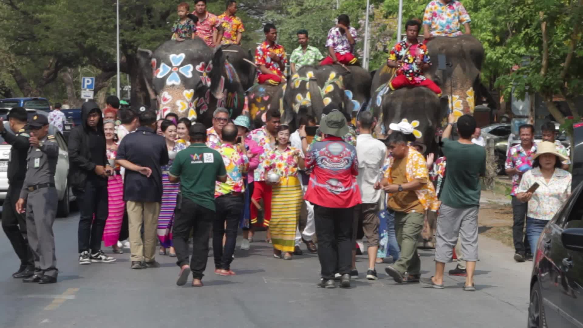 Elephants play at Thai Songkran Water Festival