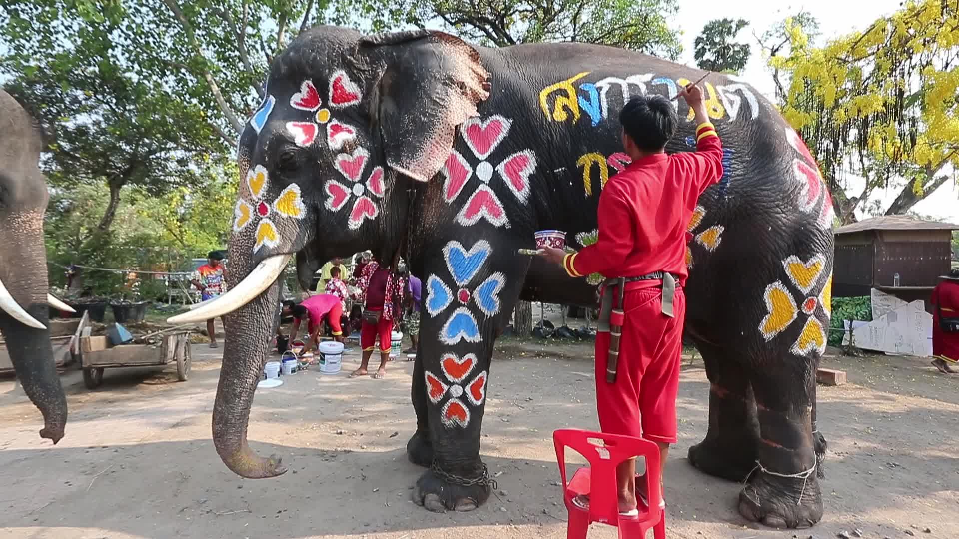 Elephants play at Thai Songkran Water Festival