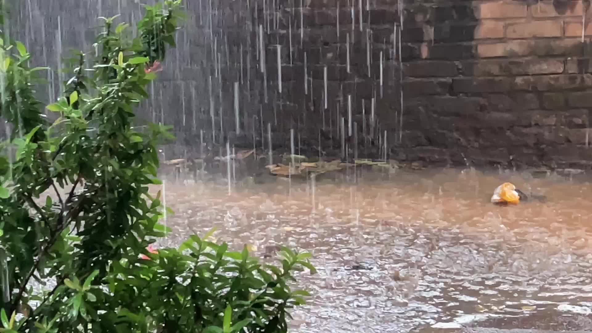 Thunderstorm in Thiruvananthapuram
